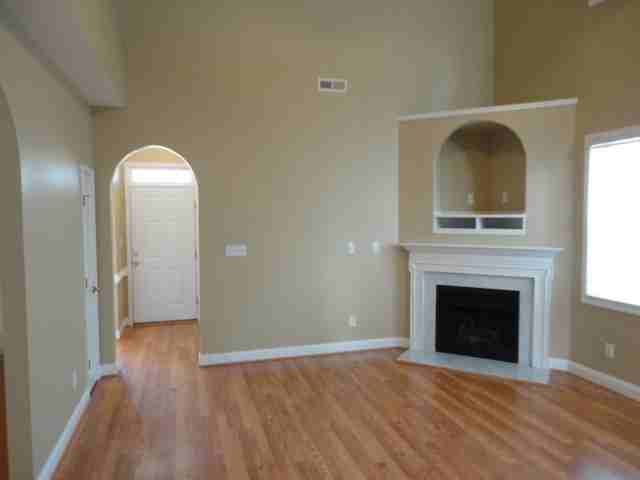 681 Citrus Petal Rd - Photo 3 of 12