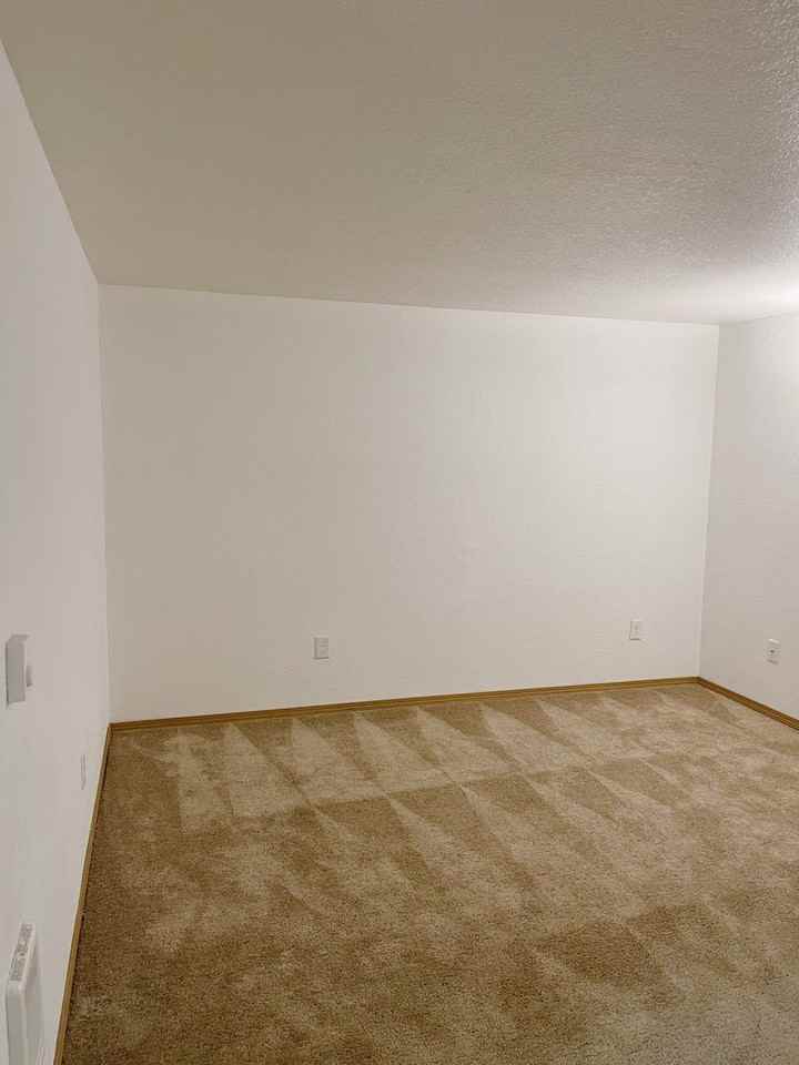 15370 Bangy Rd - Photo 6 of 14