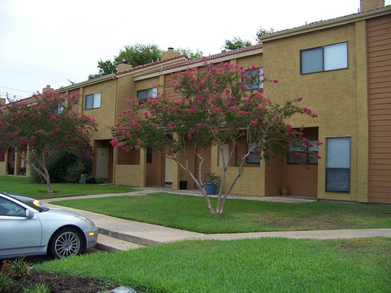 Bluff Springs Townhomes - Photo 6 of 24