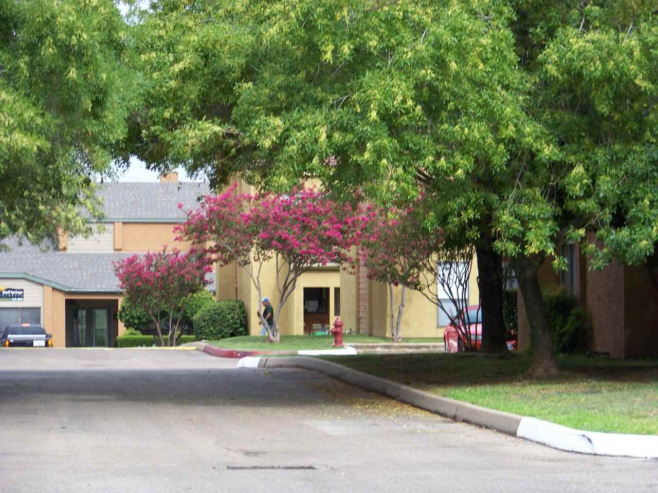 Bluff Springs Townhomes - Photo 7 of 24