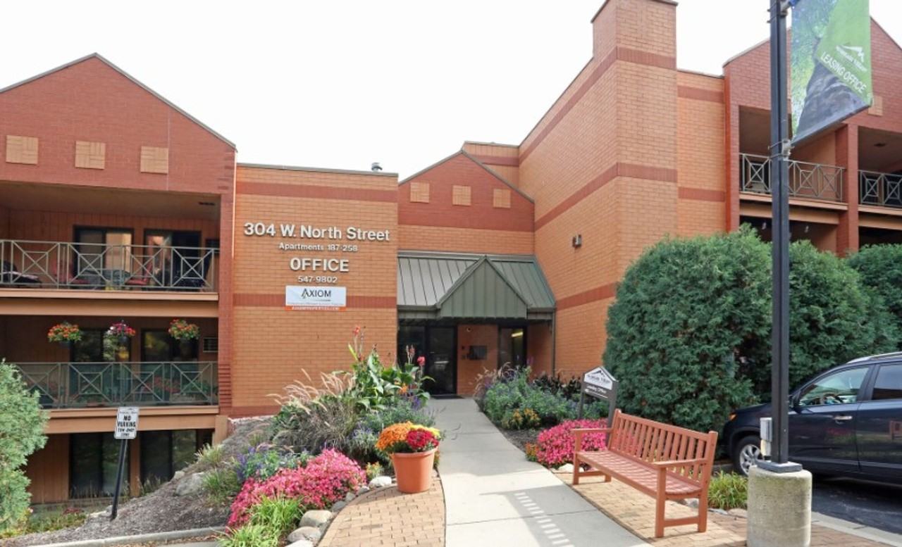 Mountain Village - Photo 5 of 38