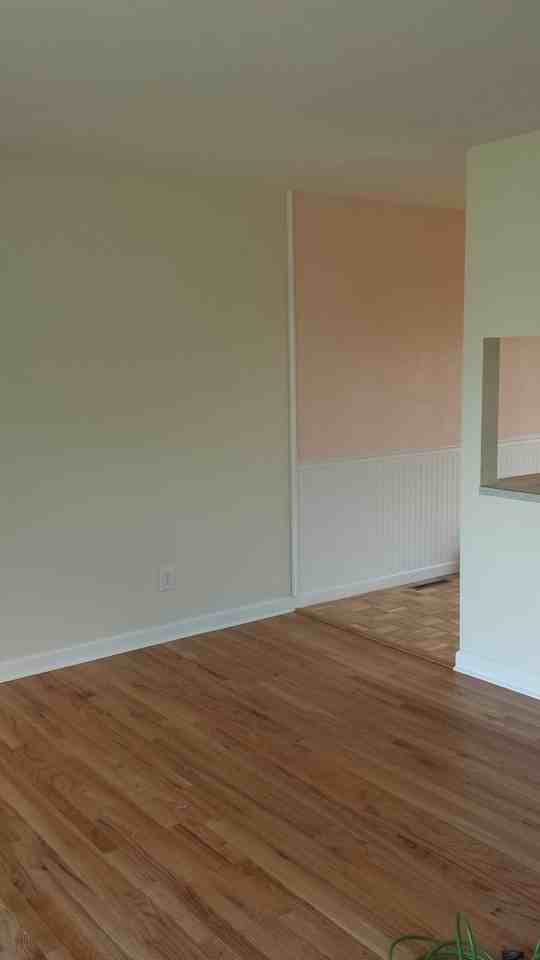 19 E 17th Ave - Photo 3 of 15