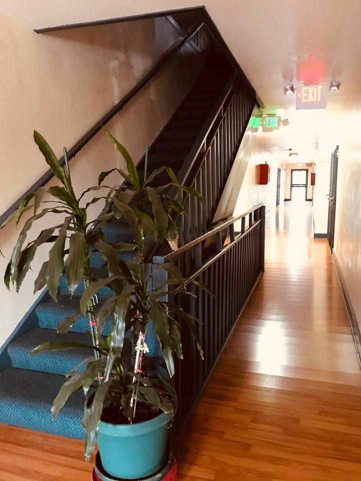 Bourbon Blue - Photo 6 of 8