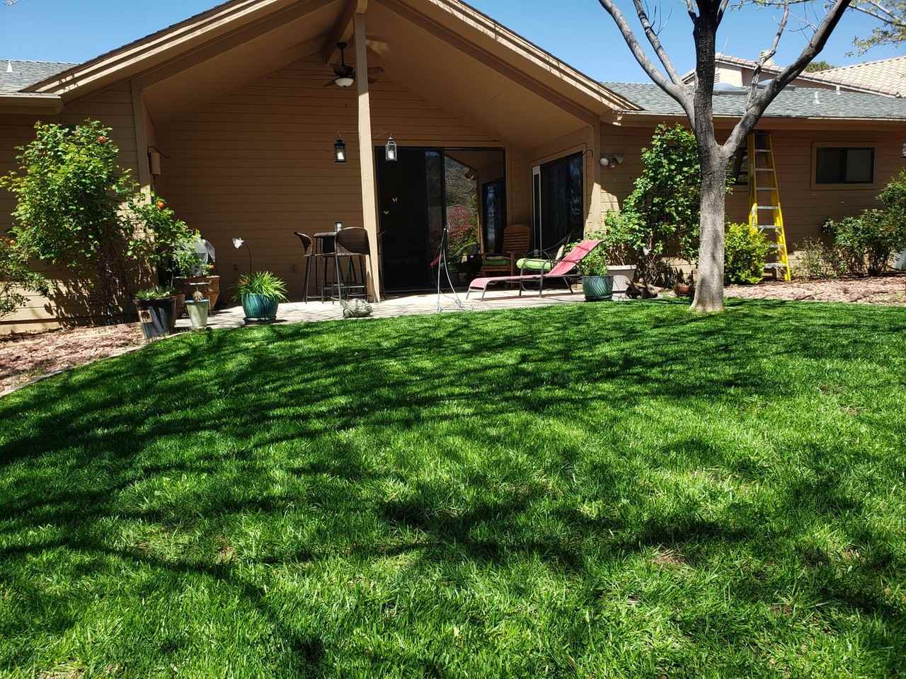 450 Concho Drive - Photo 7 of 27