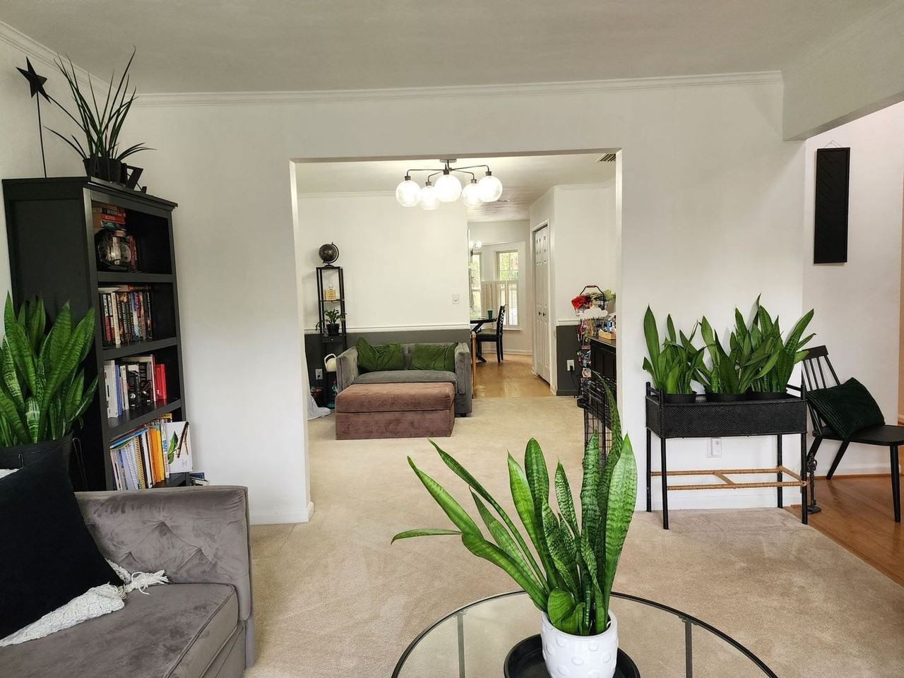 113 Heron Ct - Photo 3 of 11