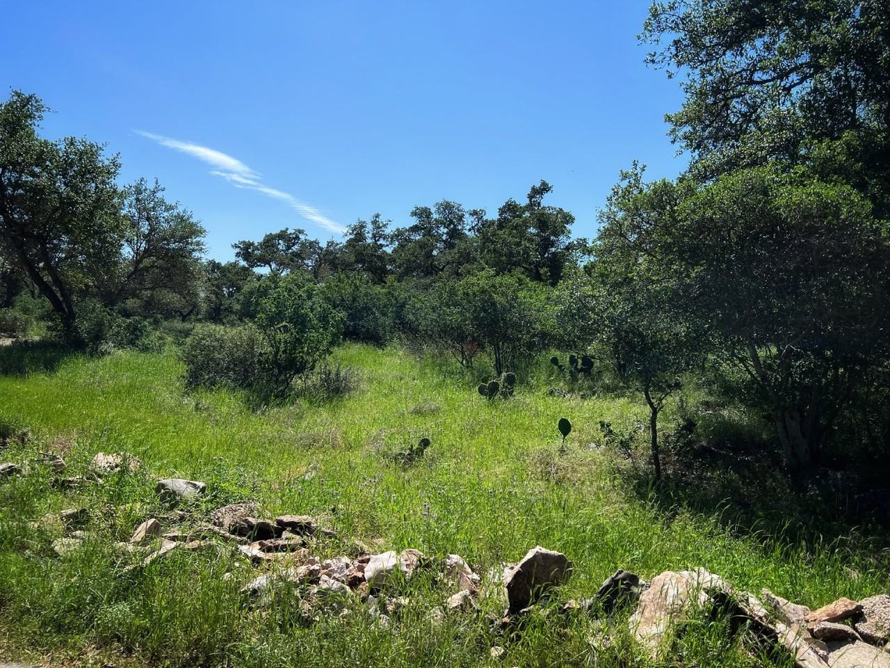 661 Abels Way - Photo 2 of 30