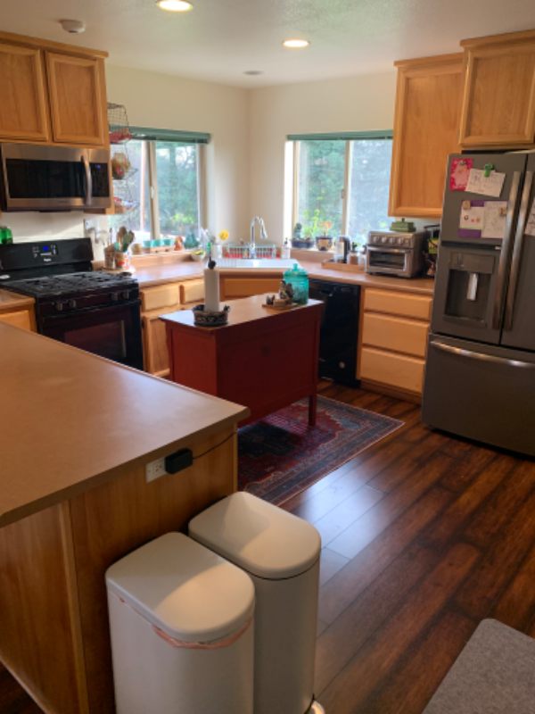 3328 Sierra Springs Ct - Photo 3 of 8