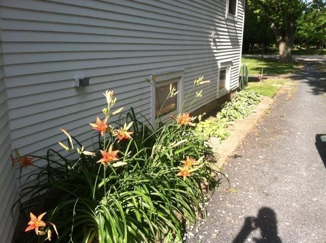 255 Happ Rd - Photo 3 of 16