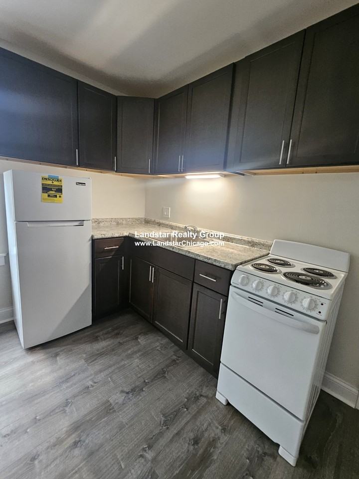 3933 N Clarendon Ave #203 - Photo 3 of 8