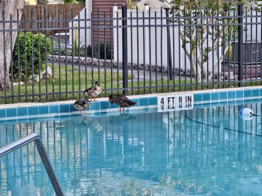 2796 Curry Ford Rd - Photo 7 of 20