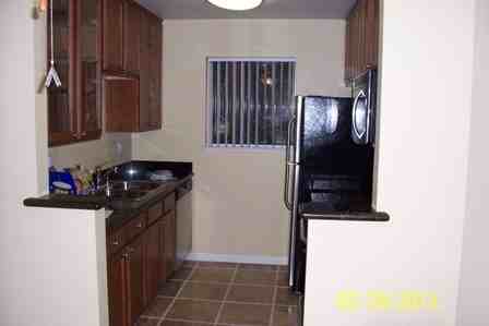 764 Teatree Ct - Photo 3 of 6