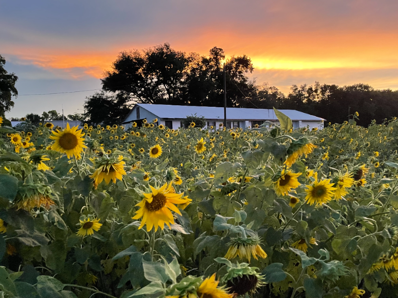 13141 7th St - Photo 2 of 8