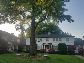 Broadmoor Manor - Photo 1 of 1