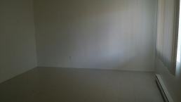 2625 N Alvernon Way #1 - Photo 3 of 8