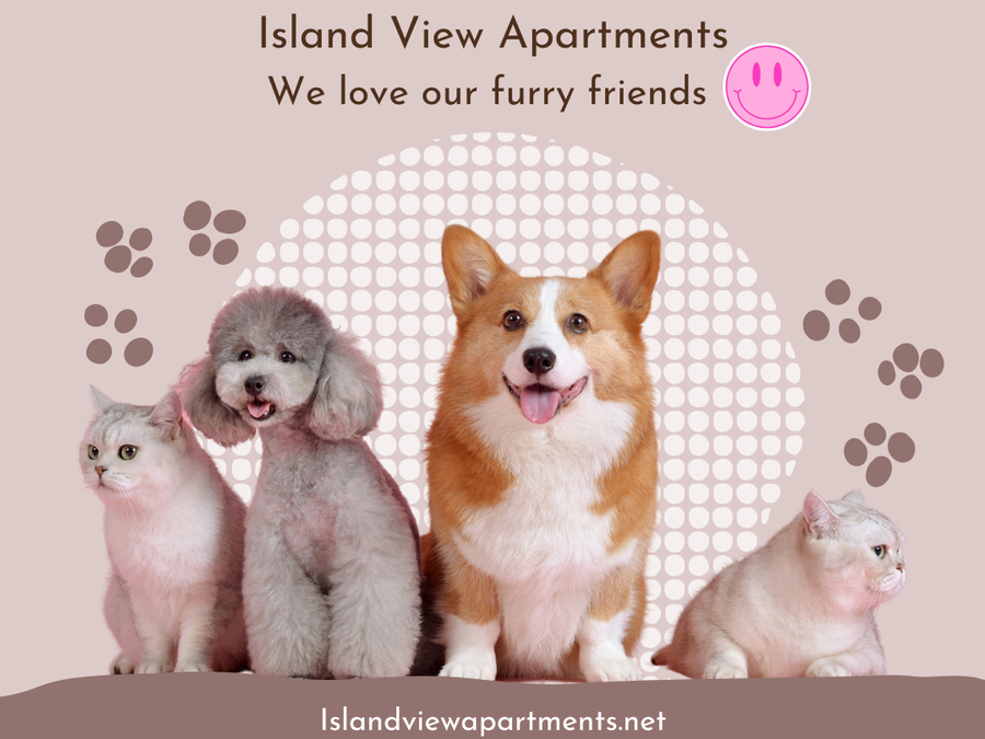 1529 Columbia Park Trl - Photo 7 of 15