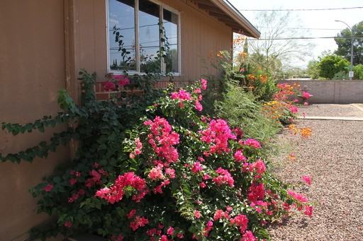 5161 E Rosewood St - Photo 2 of 32