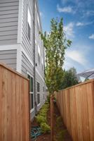 featured image of 1910 E Mill Plain Blvd