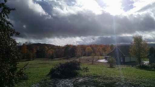 383 Sierra Lavin Rd - Photo 2 of 13