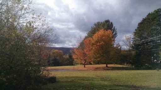 383 Sierra Lavin Rd - Photo 3 of 13