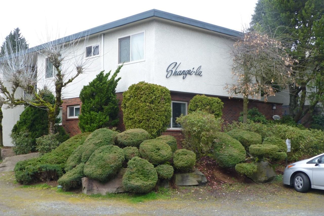 Shangri-la - Photo 4 of 7