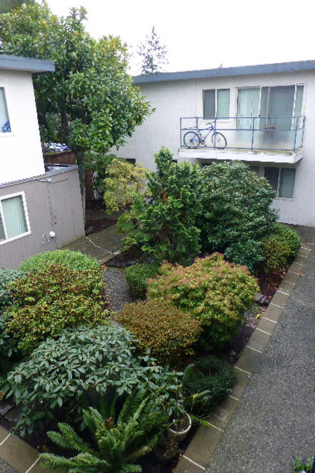 Shangri-la - Photo 5 of 7