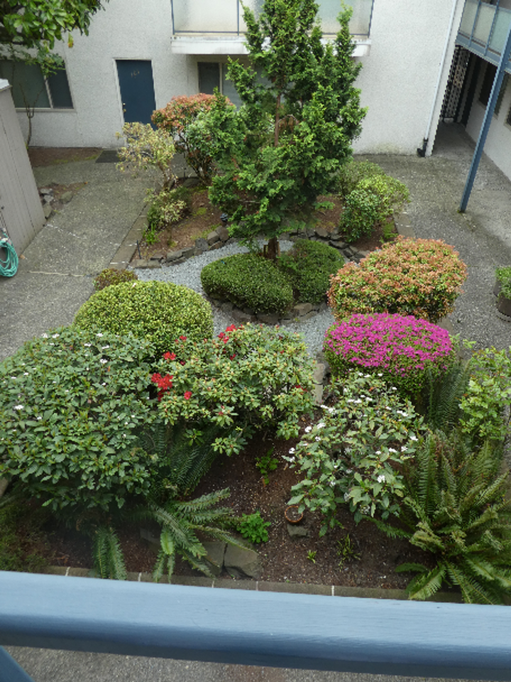 Shangri-la - Photo 6 of 7