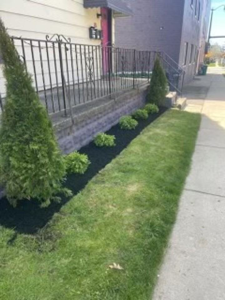 181 Jersey St - Photo 2 of 15