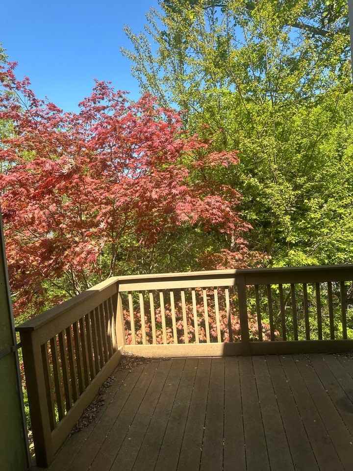 12 Naudain Ct - Photo 3 of 15