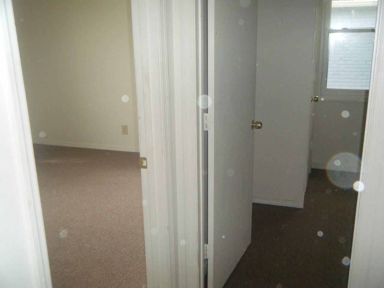 2433 Batavia St #A - Photo 3 of 5