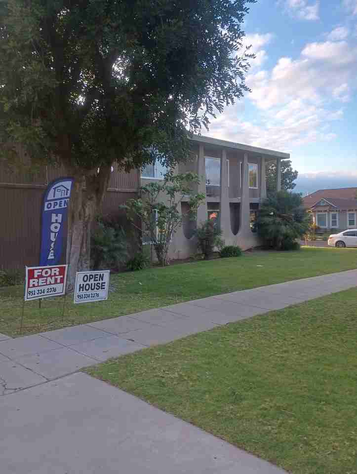 BSM Management - Photo 3 of 4