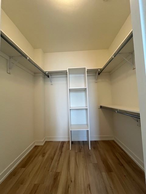 335 Wheat Boom Drive #702 - Photo 6 of 11