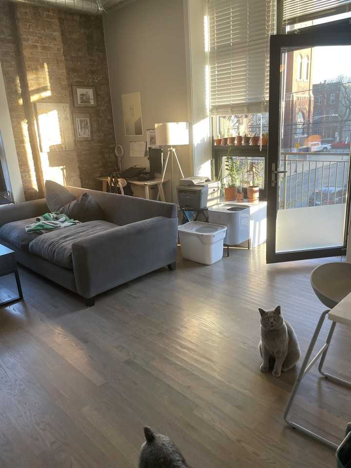 1533 West Chicago Avenue - Photo 3 of 15