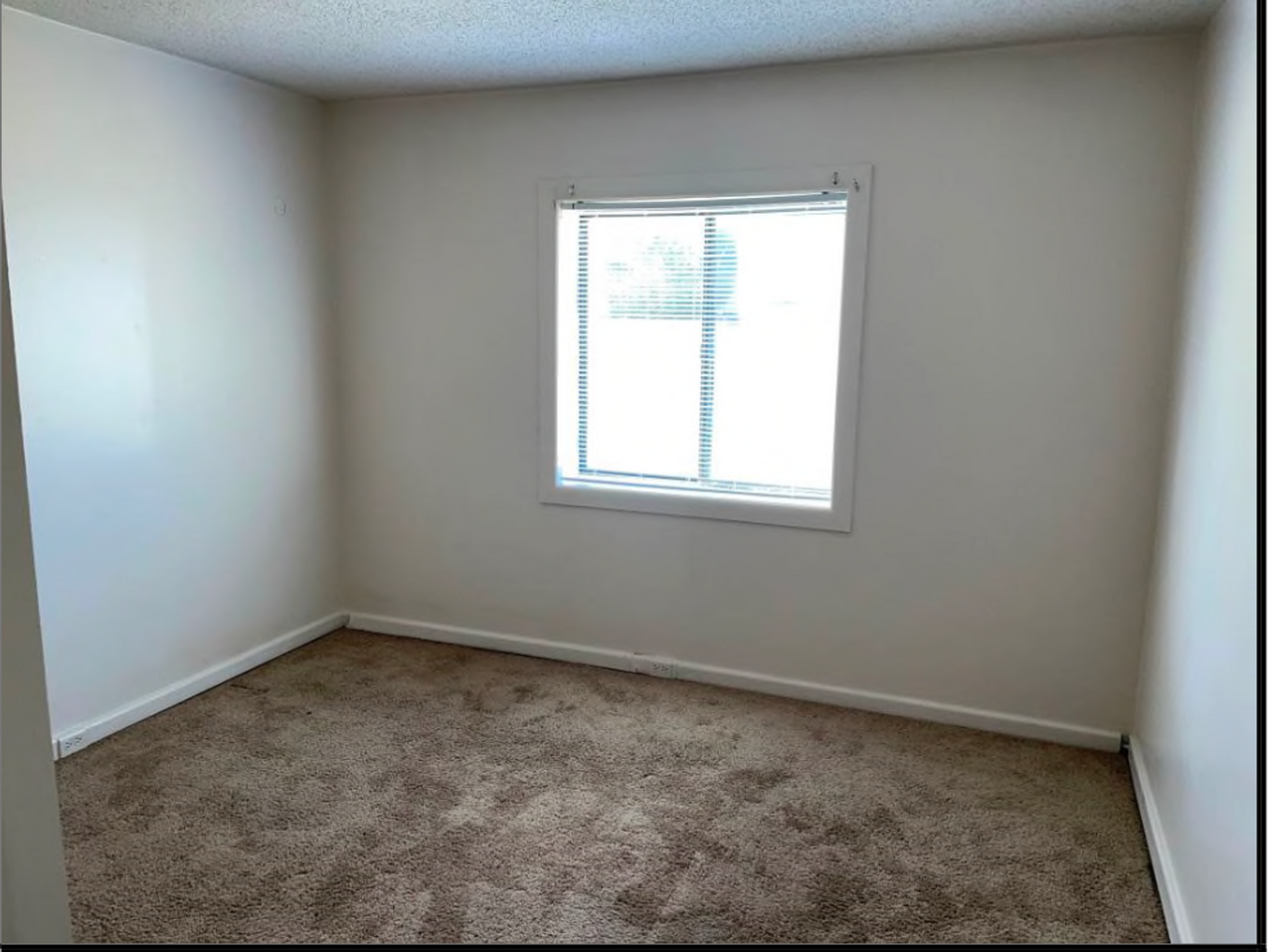 801 Lynn Street - Photo 4 of 48