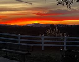 featured image of 126 Standard Bedroom-126 Mizar Place