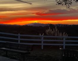 126 Standard Bedroom-126 Mizar Place - Photo 1 of 1