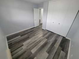 featured image of 1005 Saint Anne Street #102