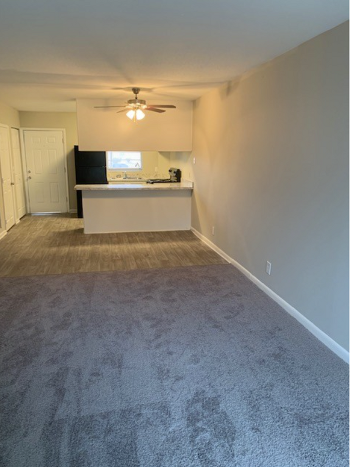 View On the River - Photo 6 of 31