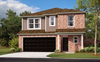 featured image of 4215 Asher Aly