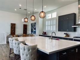 featured image of 109 Terrapin