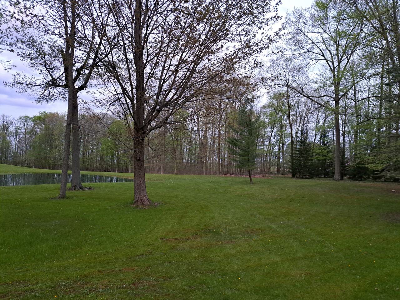 9110 County Road 1 #NA - Photo 2 of 21