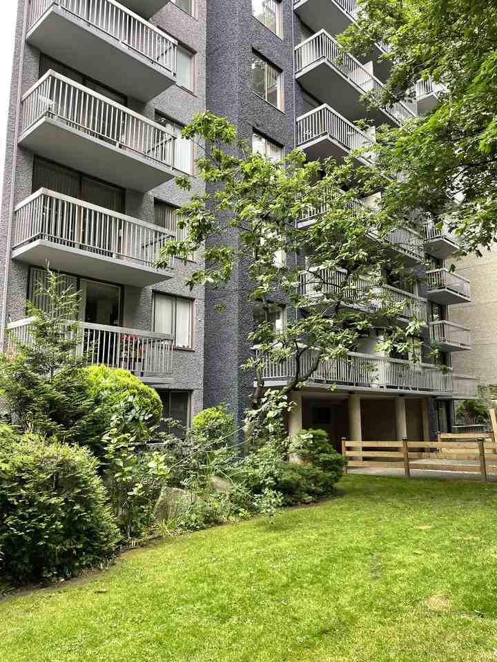 Pet Friendly Apartments for Rent in Vancouver, BC 304 Rentals Zumper