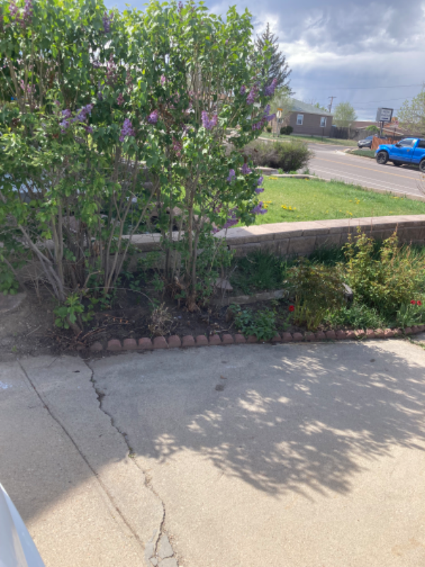 2760 Eppinger Blvd - Photo 6 of 15