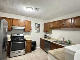 Forest Path - Photo 1 of 1