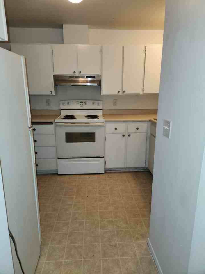 937 Nandina St - Photo 3 of 11