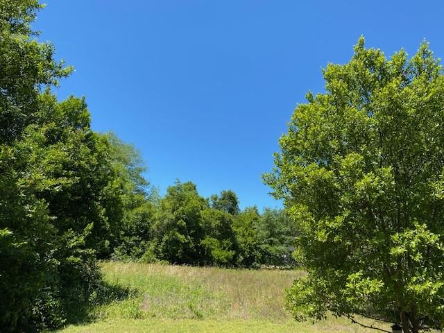 331 Black Ave #A - Photo 2 of 33