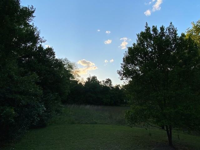 331 Black Ave #A - Photo 5 of 33