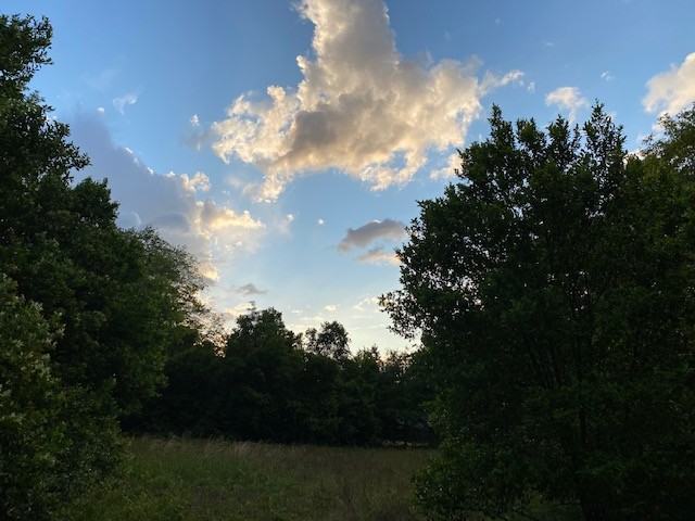 331 Black Ave #A - Photo 6 of 33