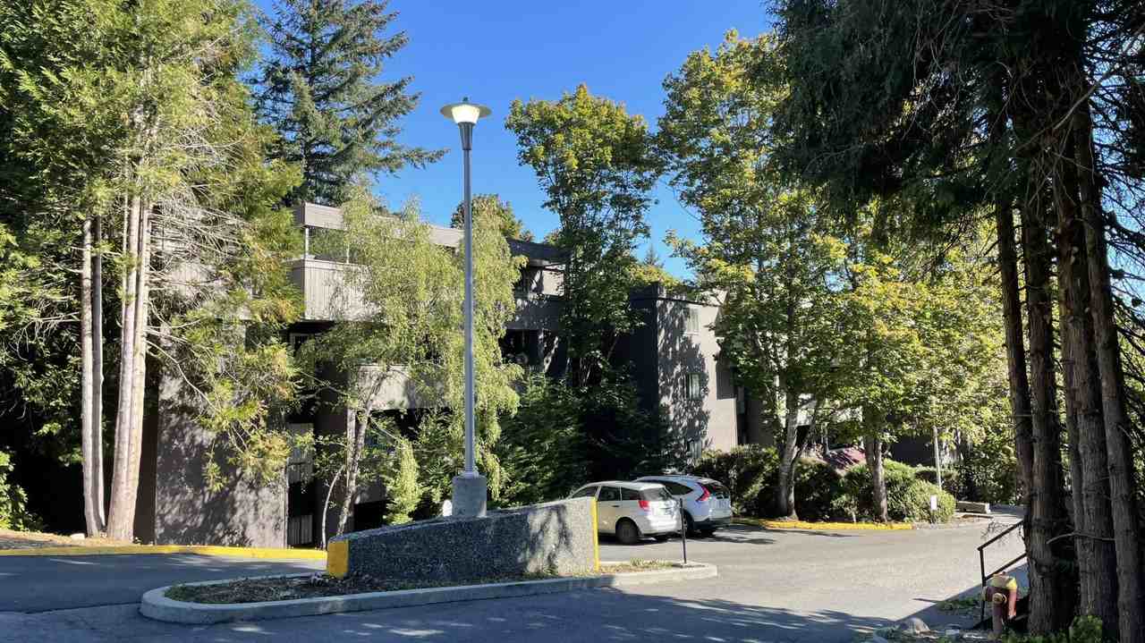 Pine Ridge Village Apartments - Photo 3 of 11