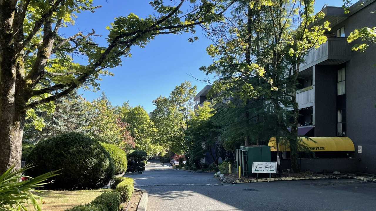 Pine Ridge Village Apartments - Photo 4 of 11