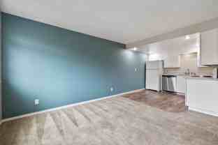 1017 South Pearl Street - Photo 1 of 1